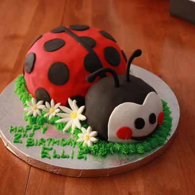 Ladybug Birthday Cake