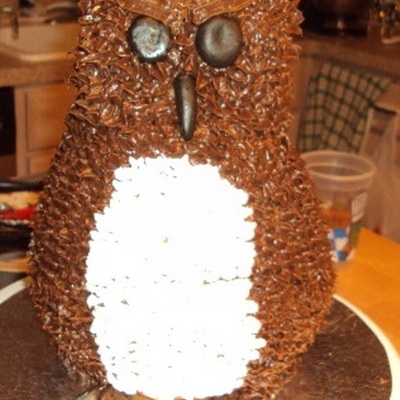 3D Owl Cake