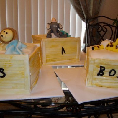 Delivery Of Baby Zoo Animals