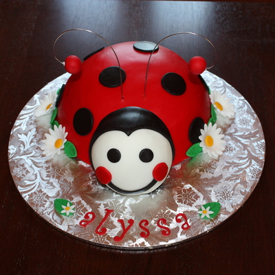 Lady Bug