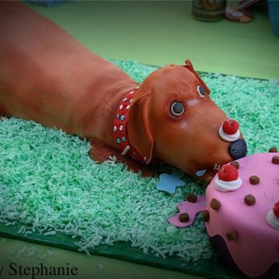 Dog Cake