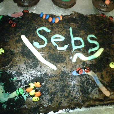My Sons Birthday Cake...