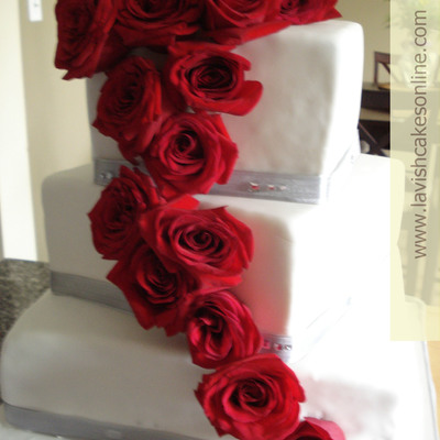 Single Stream Rose Cake