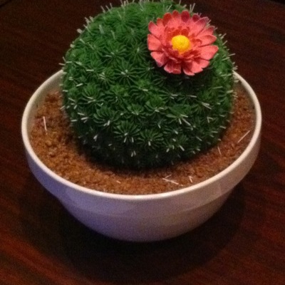 Cactus Cake