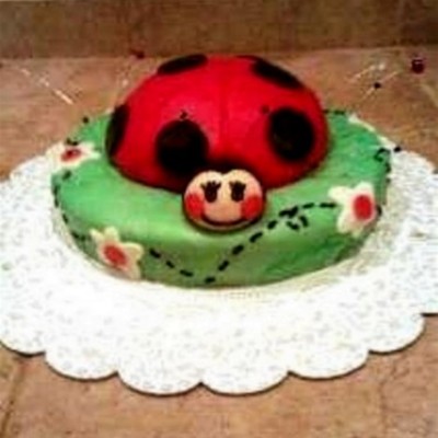 Ladybug Party