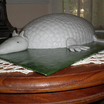 Armadillo