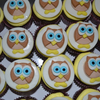 My Owl Cupcakes