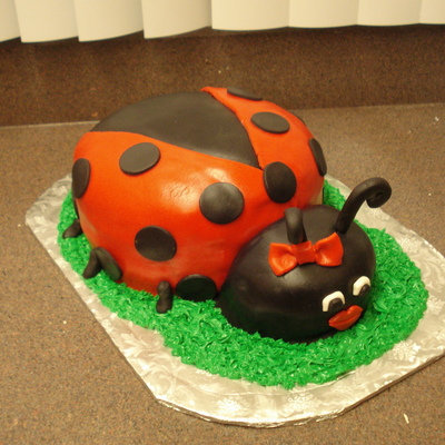 Ladybug
