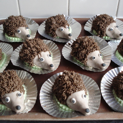 Hedgehogs