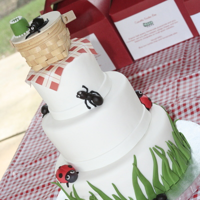 Scholl's 1St Birthday Picnic