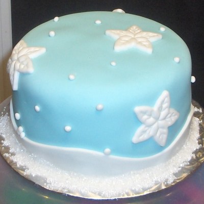 Winter Birthday Cake