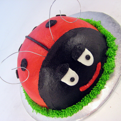 Ladybug Smash Cake