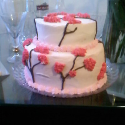 2 Tier Simple Cake