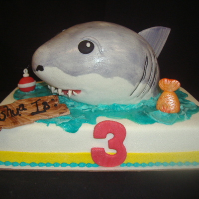 Shark Attack