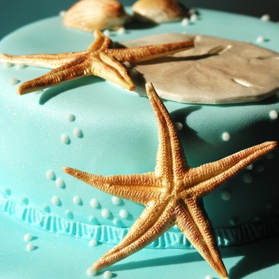 Under The Sea