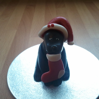 Puppy With Christmas Hat