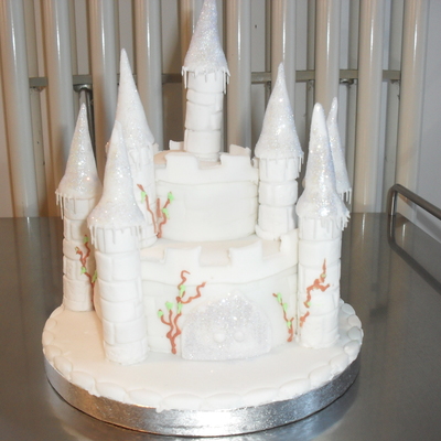 Enchanted Winter Castle