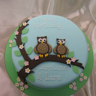 Owls