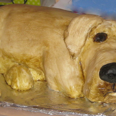 3D Labrador Dog Cake