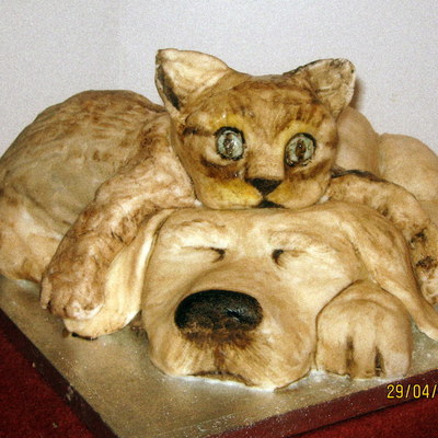 Sleeping Puppy Dog With Kitten On Its Head