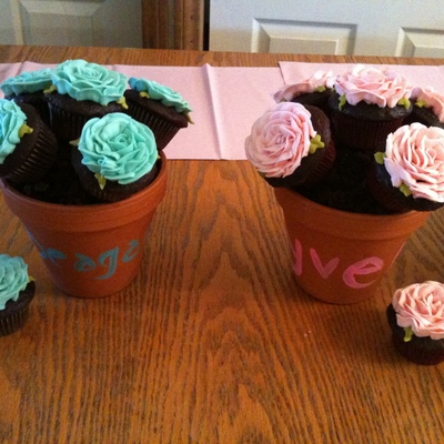 Rose Flower Pots