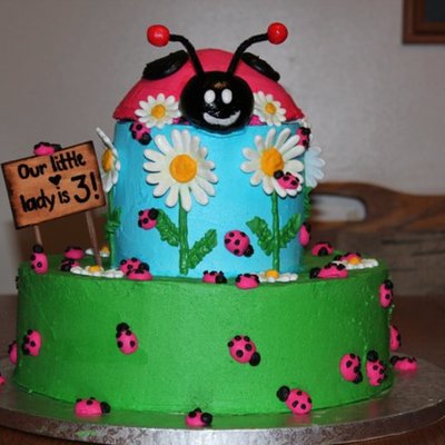 Ladybugs And Daisies