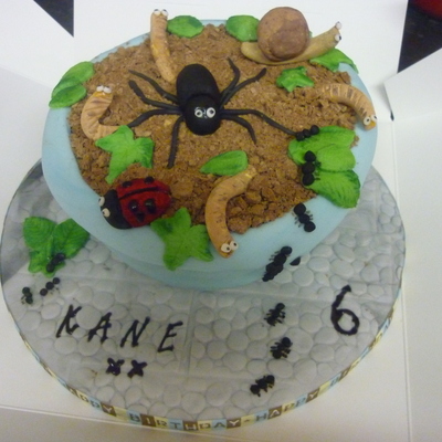 Bug Cake