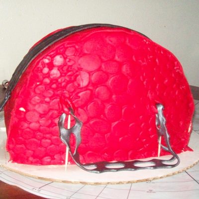 My Mom's Birthday Cake