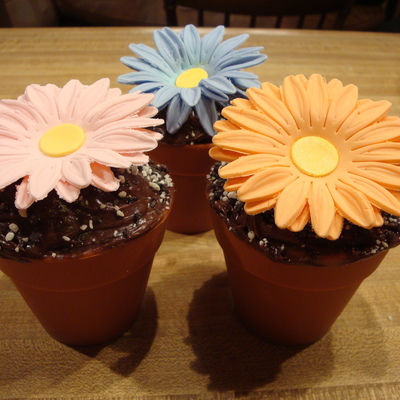 Daisy Cupcakes
