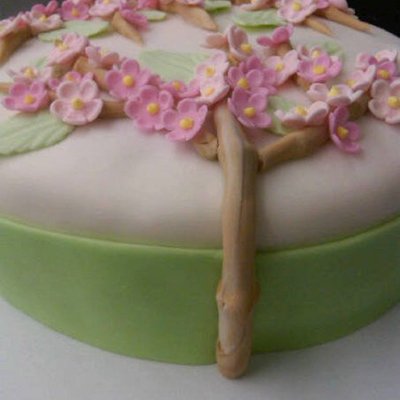 Apple Blossom