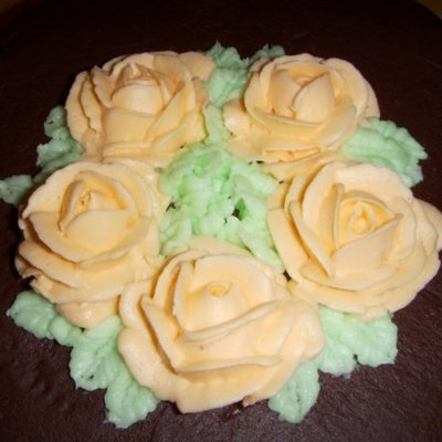 Orange Rose