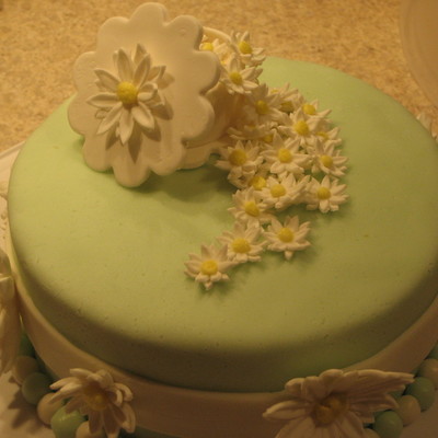 Wilton Cake Class Daisy Cake