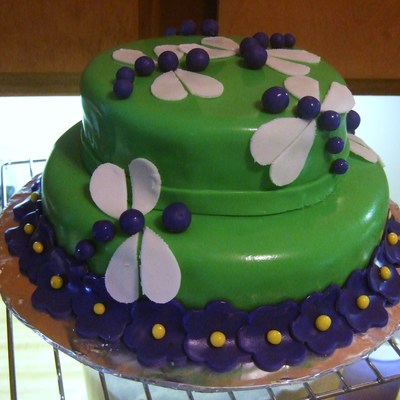Dragonfly Cake