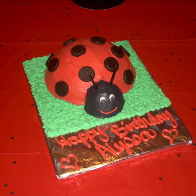Ladybug Cake