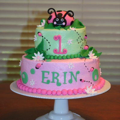 Lady Bug Birthday Cake
