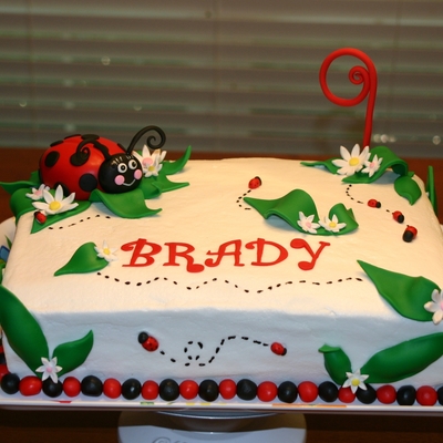 Lady Bugs Sheet Cake