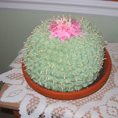 Colette Peters Cactus Cake