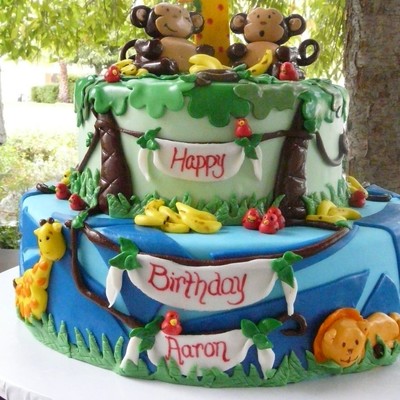 Aaron's First Birthday