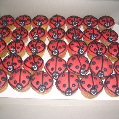 Ladybug Cupcakes