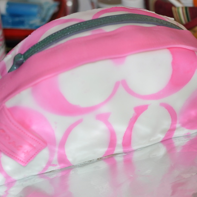 Coach Purse Cake