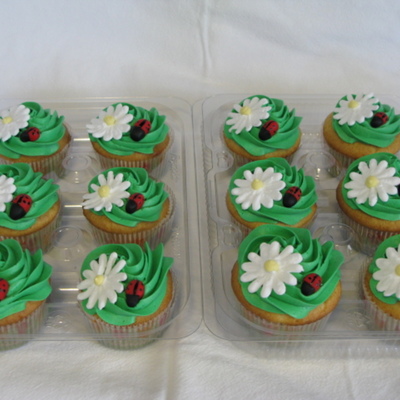 Ladybug Cupcakes