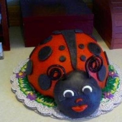 Miss Lady Bug