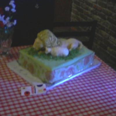 Lion And The Lamb