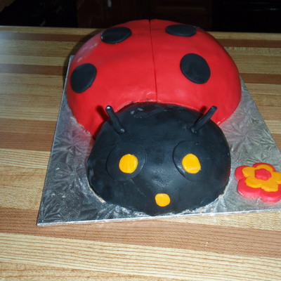 Lady Bug!