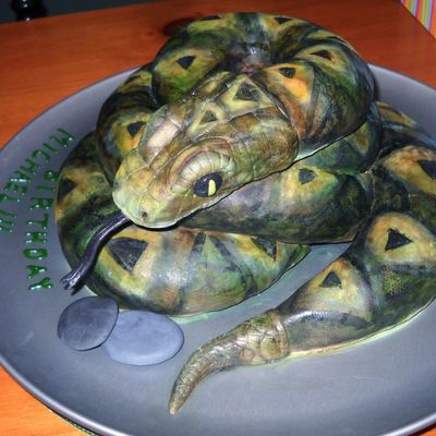 Ssssssnake Cake