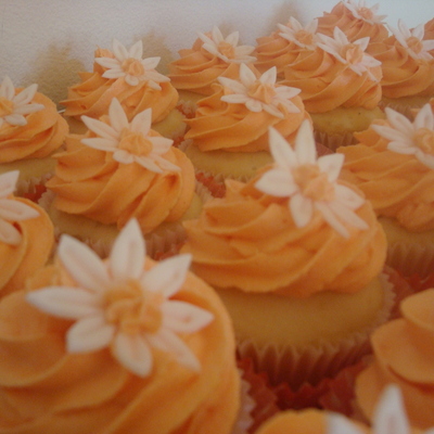 Cupcakes For Cancer