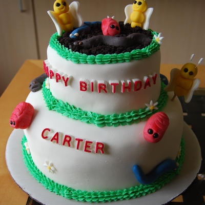 Bug Themed Cake