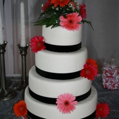 Black And Bright Cake