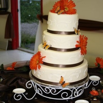 Daisy And Butterflies