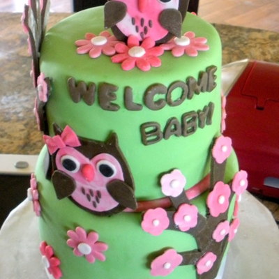 Owl Baby Shower Cake